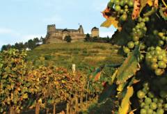 Ungarischer Wein aus Tokaj Ungarischer Wein aus Tokaj