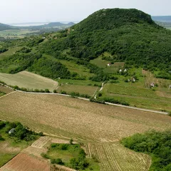 Weine vom Balaton Wein vom Balaton