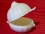 Frischhaltedose Knoblauch